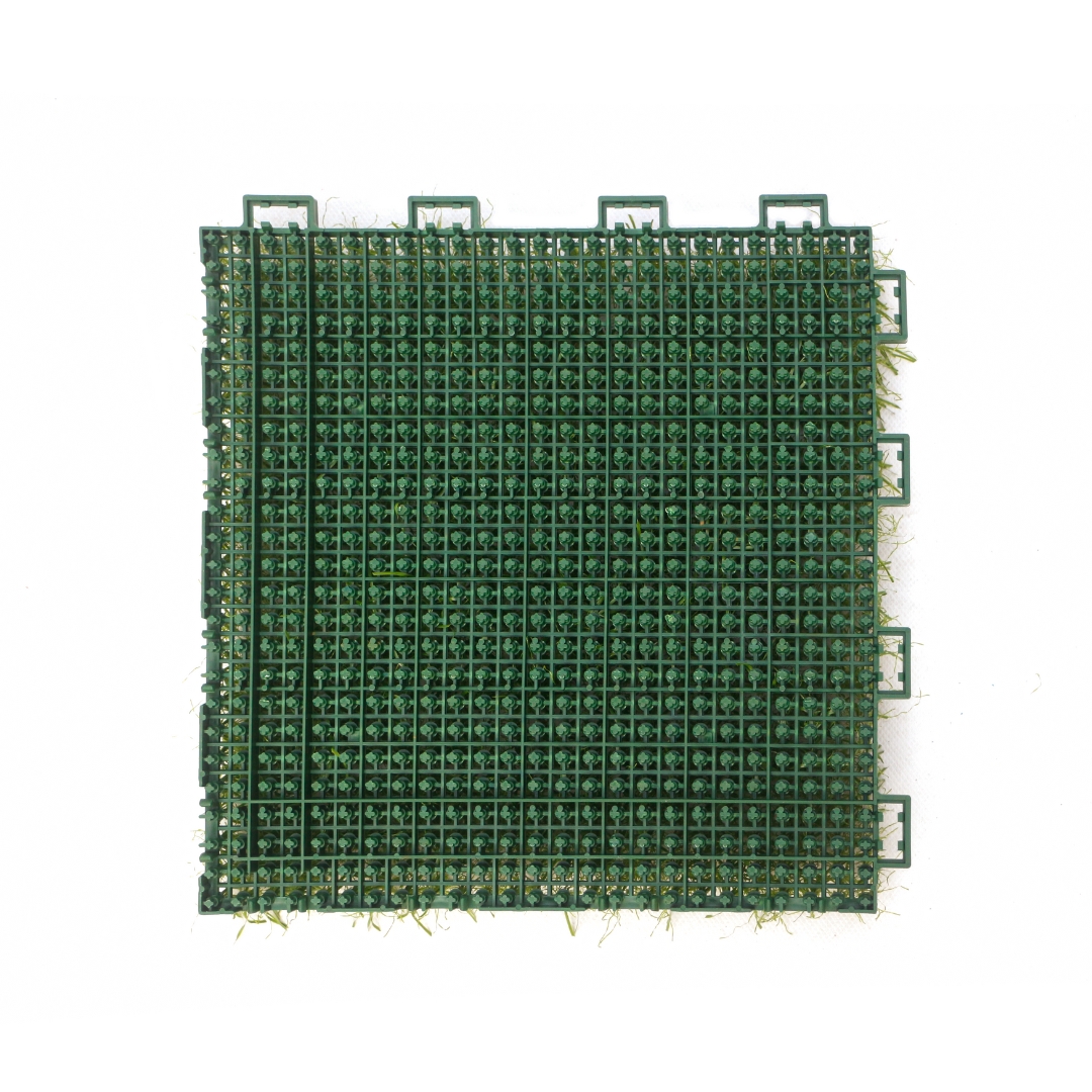 Yangyang assembled grass TC-Y25150