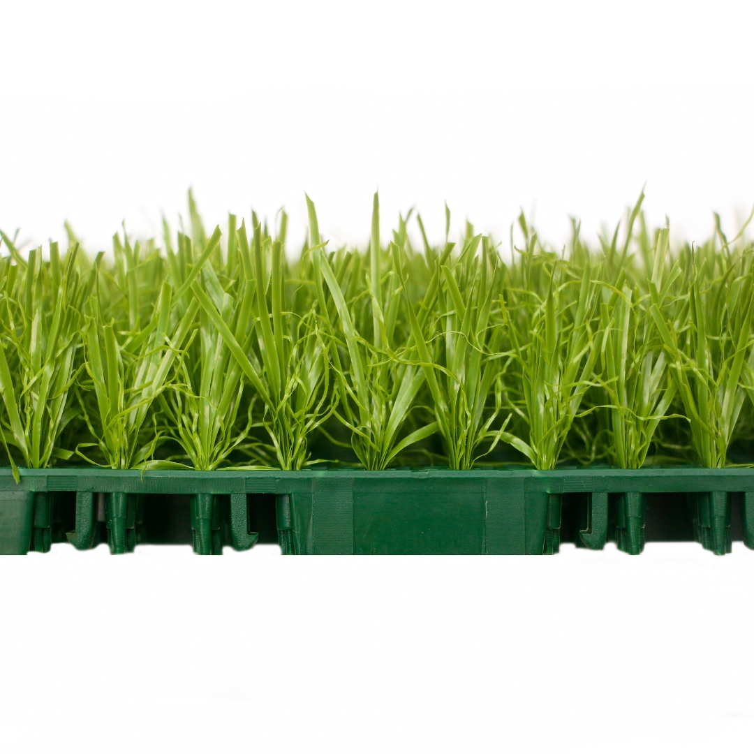 Yangyang assembled grass TC-Y25150