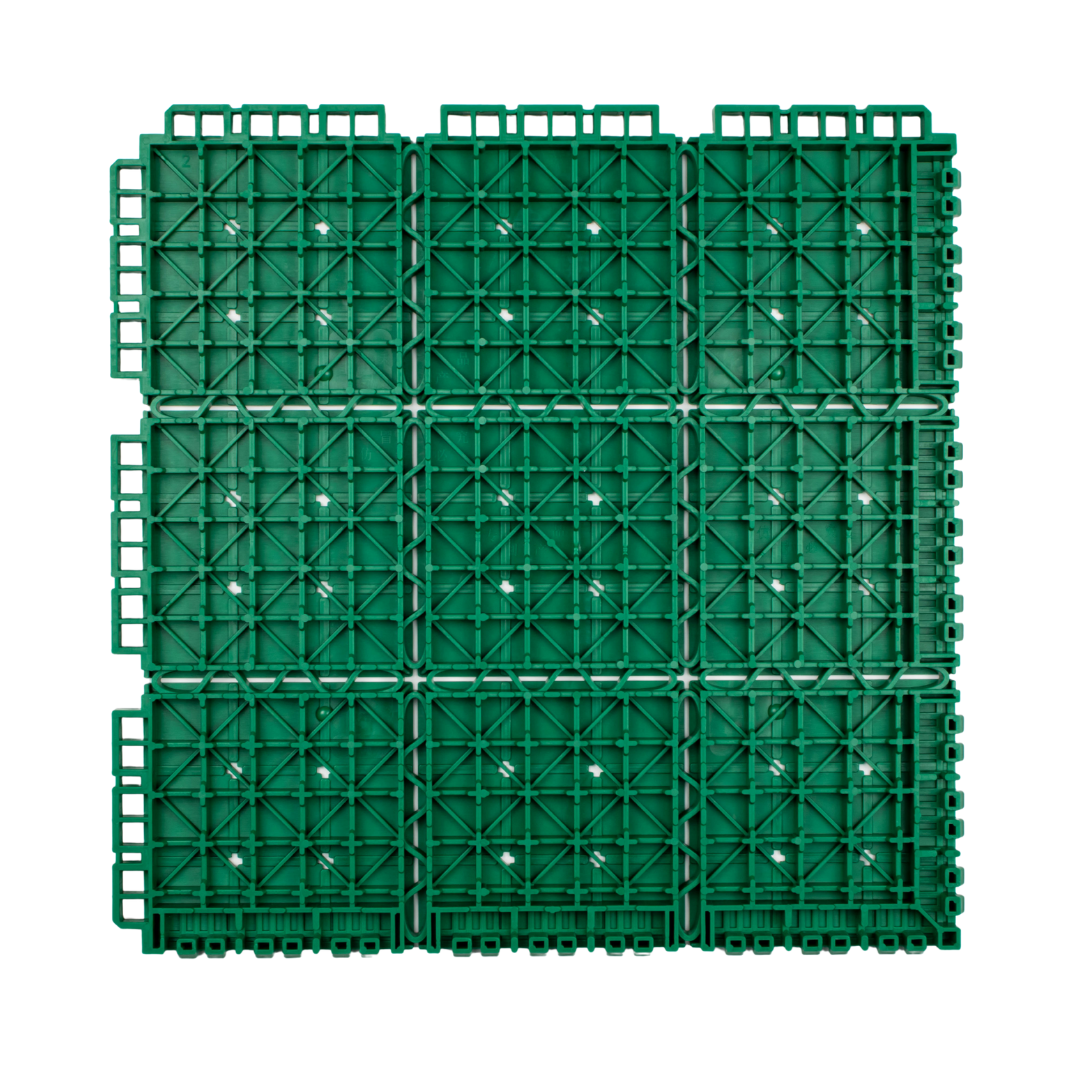 Star Crown Soft Plastic X3 TC-XGRSX3